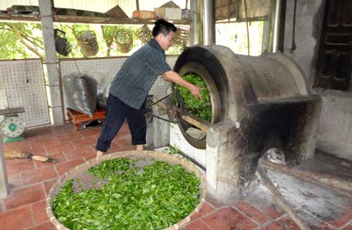 THAINGUYEN MOTORBIKE TOUR TO LA BANG TEA PLANTATION  